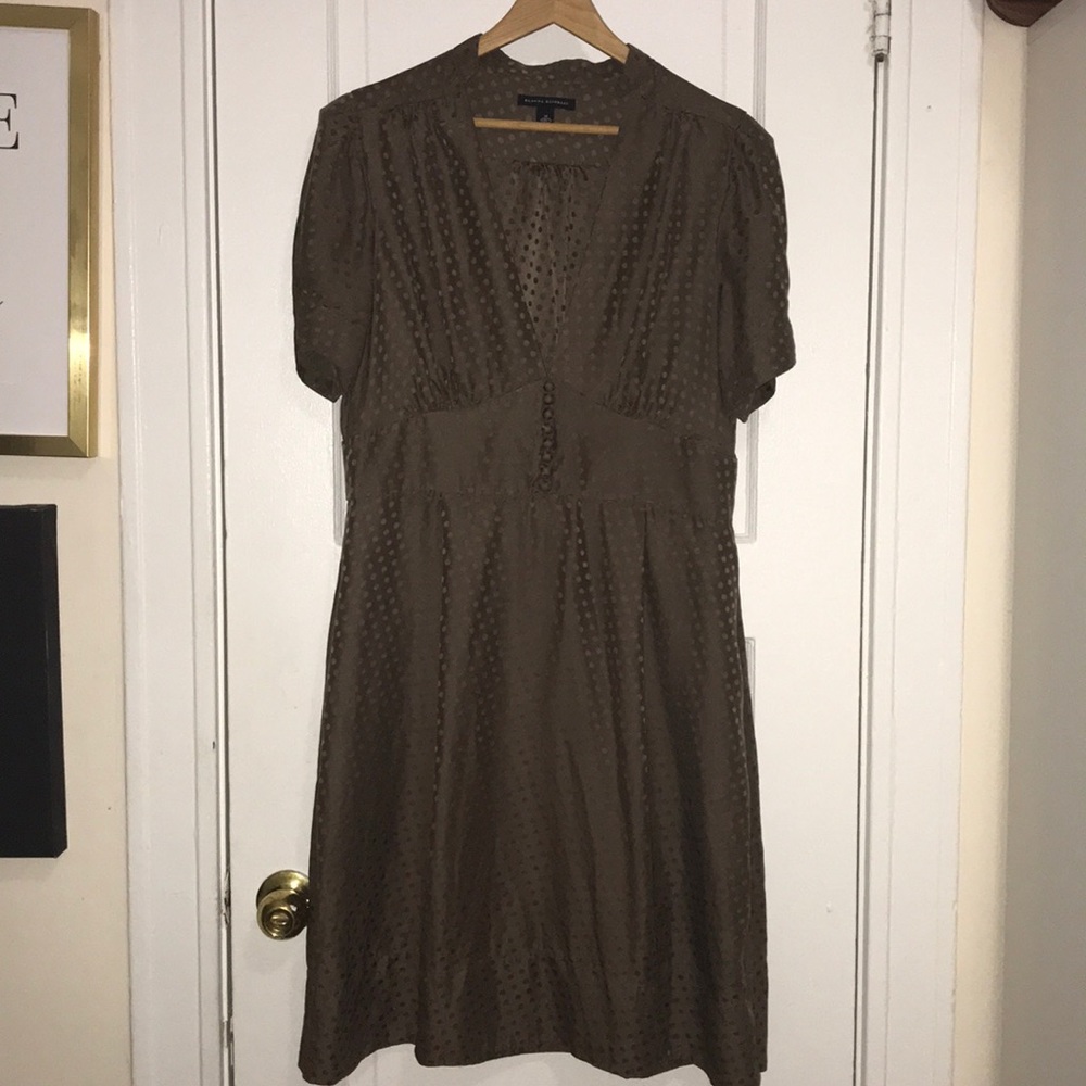 Banana Republic Brown Dress